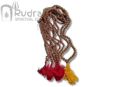 8 Mukhi Mala